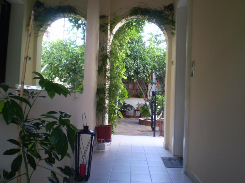 Studios Nopi-Zoi Skiathos Town Exterior foto