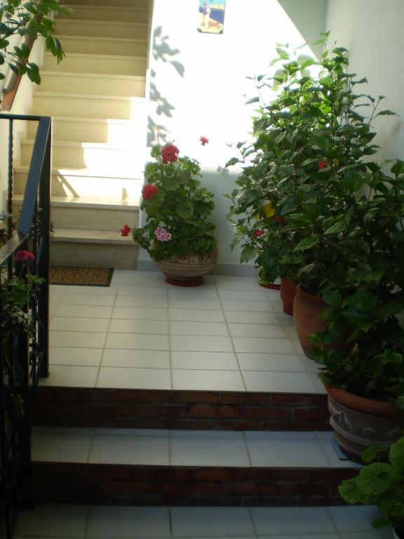 Studios Nopi-Zoi Skiathos Town Exterior foto