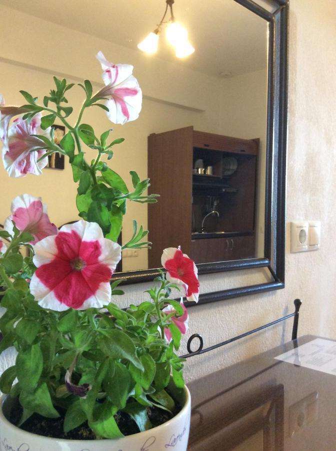 Studios Nopi-Zoi Skiathos Town Exterior foto